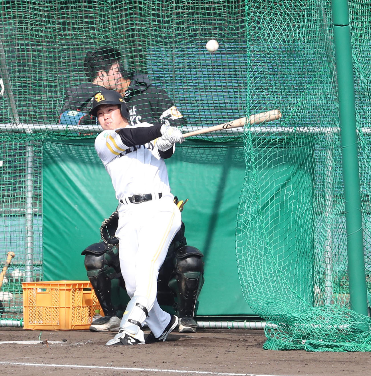 2月3日、打撃練習をする井上（撮影・梅根麻紀）