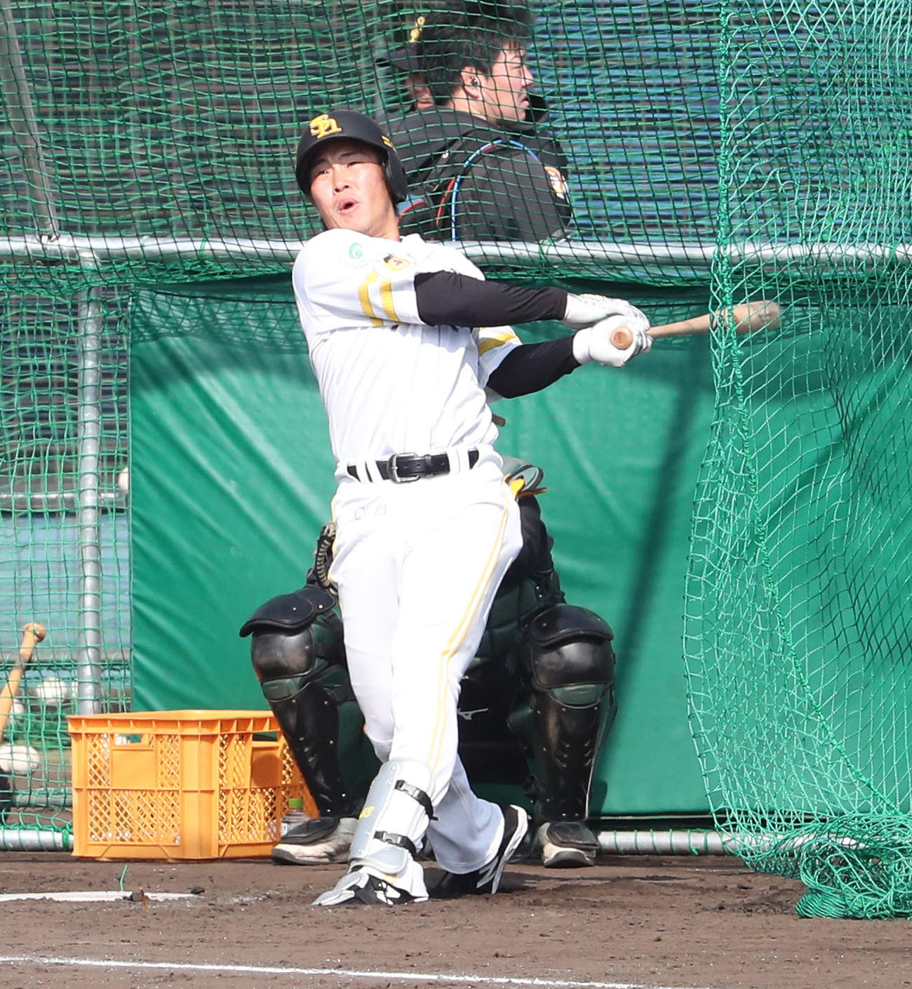 2月3日、打撃練習をする井上（撮影・梅根麻紀）