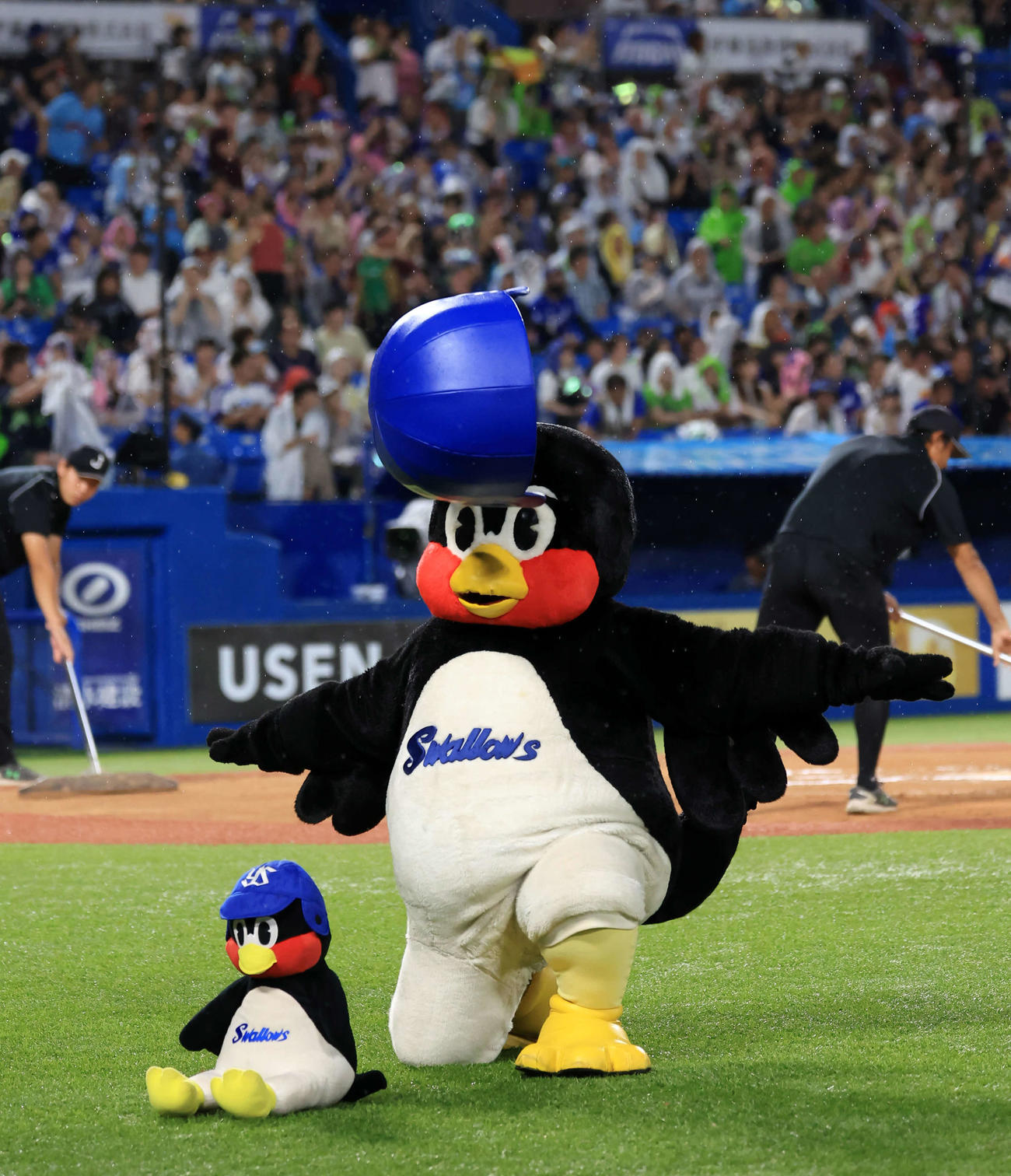 空中くるりんぱで失敗するヤクルトの球団マスコットつば九郎（24年9月21日撮影）