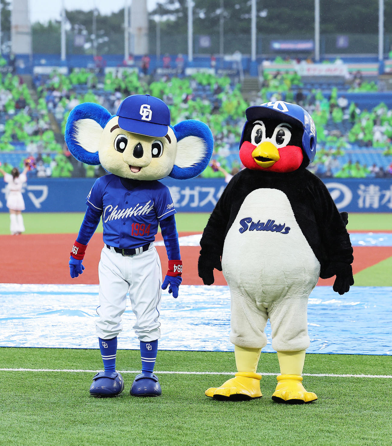 球場を盛り上げるドアラ（左）とつば九郎（23年5月13日撮影）