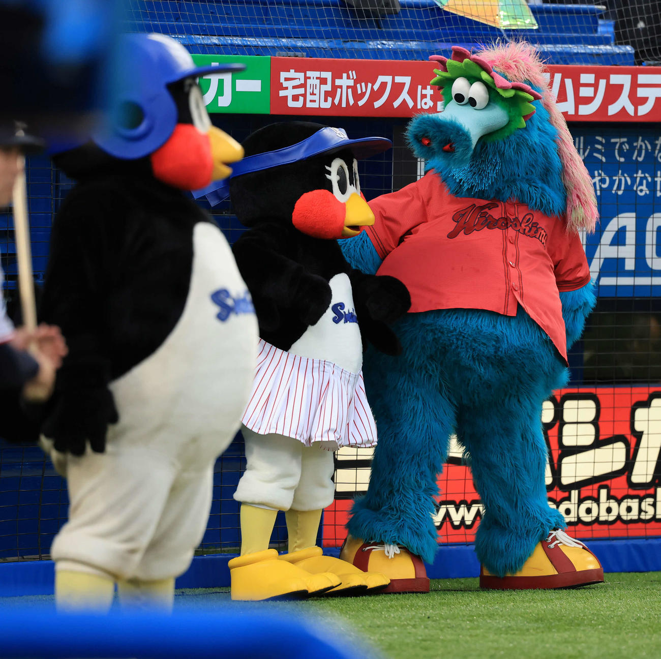 ヤクルト対広島　試合前、並んでイベントを見つめるヤクルトつば九郎、つばみ、広島スラィリー（撮影・浅見桂子）