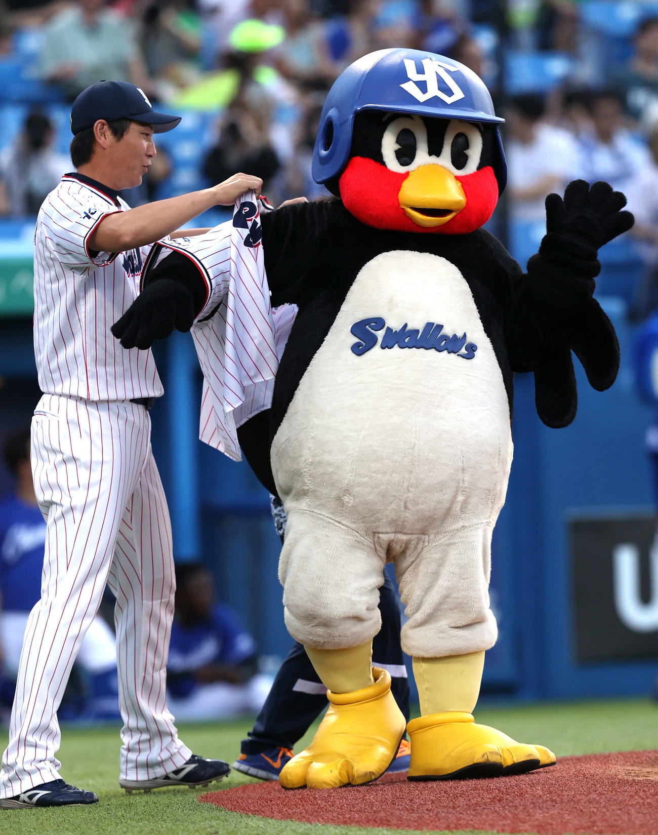 2024年8月12日、12球団唯一ユニホームを持たないつば九郎は30周年を記念してユニホーム川端からをもらう