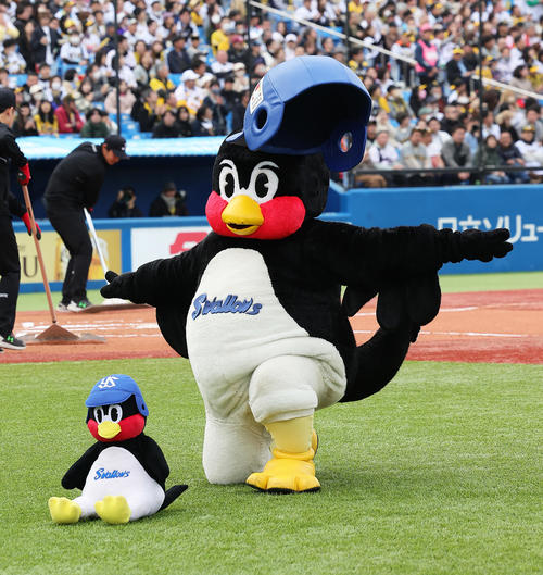 2024年4月6日阪神戦で、空中くるりんぱに失敗するつば九郎