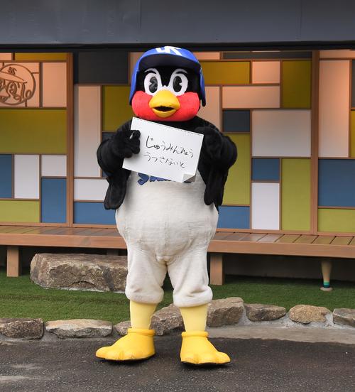 「つば九郎ハウ巣」の完成度に住民票を移すことを検討するつば九郎　2022年10月10日