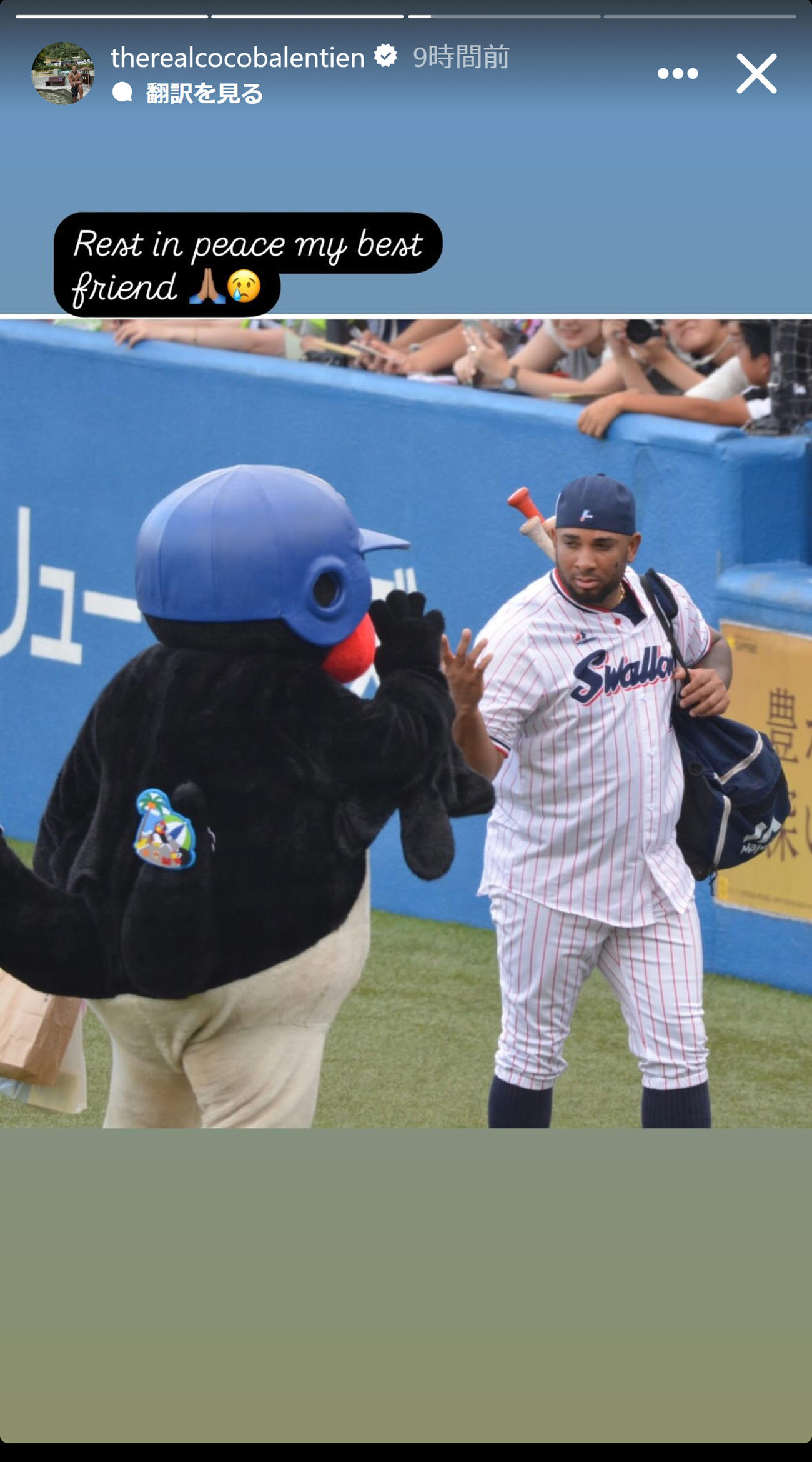 ウラディミール・バレンティン氏のインスタグラムから