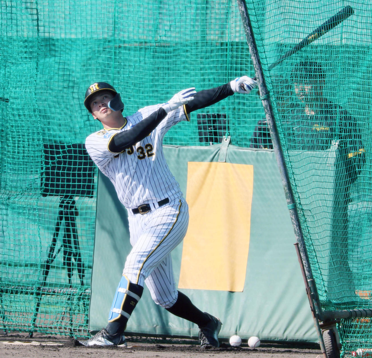 阪神井上広大（2024年11月10日撮影）