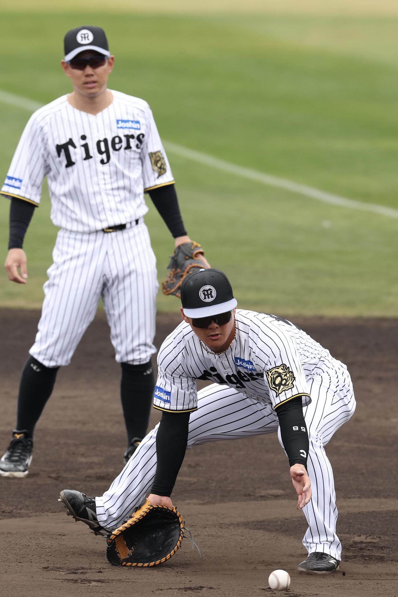 シャッフルノックで一塁に入る阪神前川（手前）と糸原（撮影・前田充）