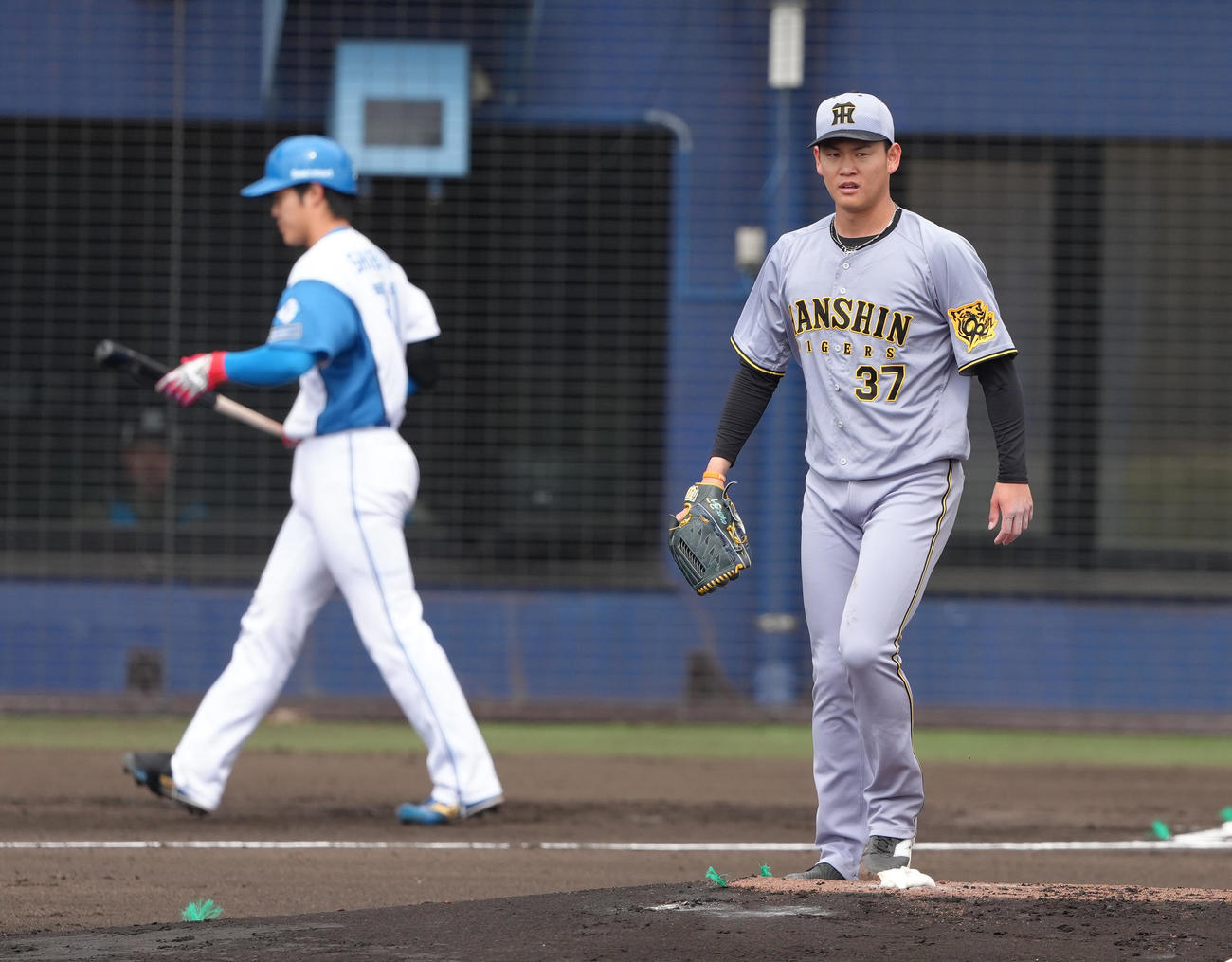 2軍練習試合　日本ハム対阪神　1回裏日本ハム無死、柴田を空振り三振に仕留めた投手及川（撮影・足立雅史）