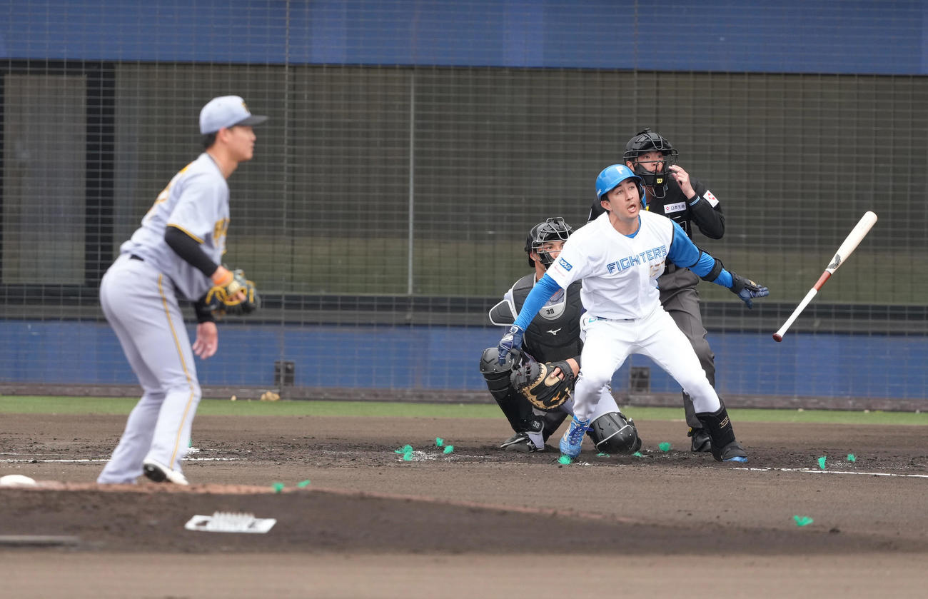 2軍練習試合　日本ハム対阪神　2回裏日本ハム1死、山口は二塁打を放つ投手及川（撮影・足立雅史）