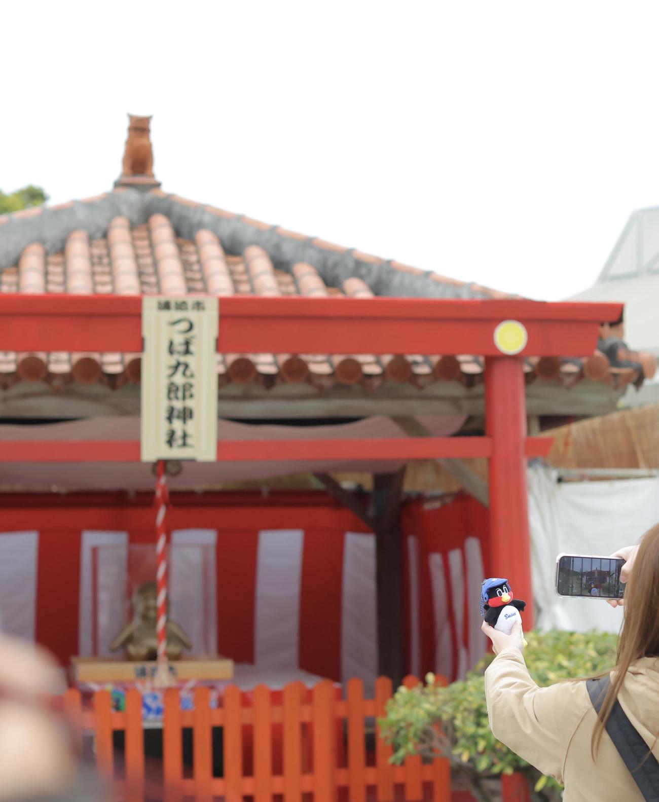 つば九郎神社を背景に撮影するファン（撮影・河田真司）