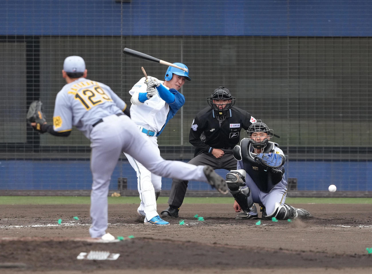 2軍練習試合　日本ハム対阪神　8回裏日本ハム1死、古川のバットを折り遊ゴロに仕留める早川（撮影・足立雅史）