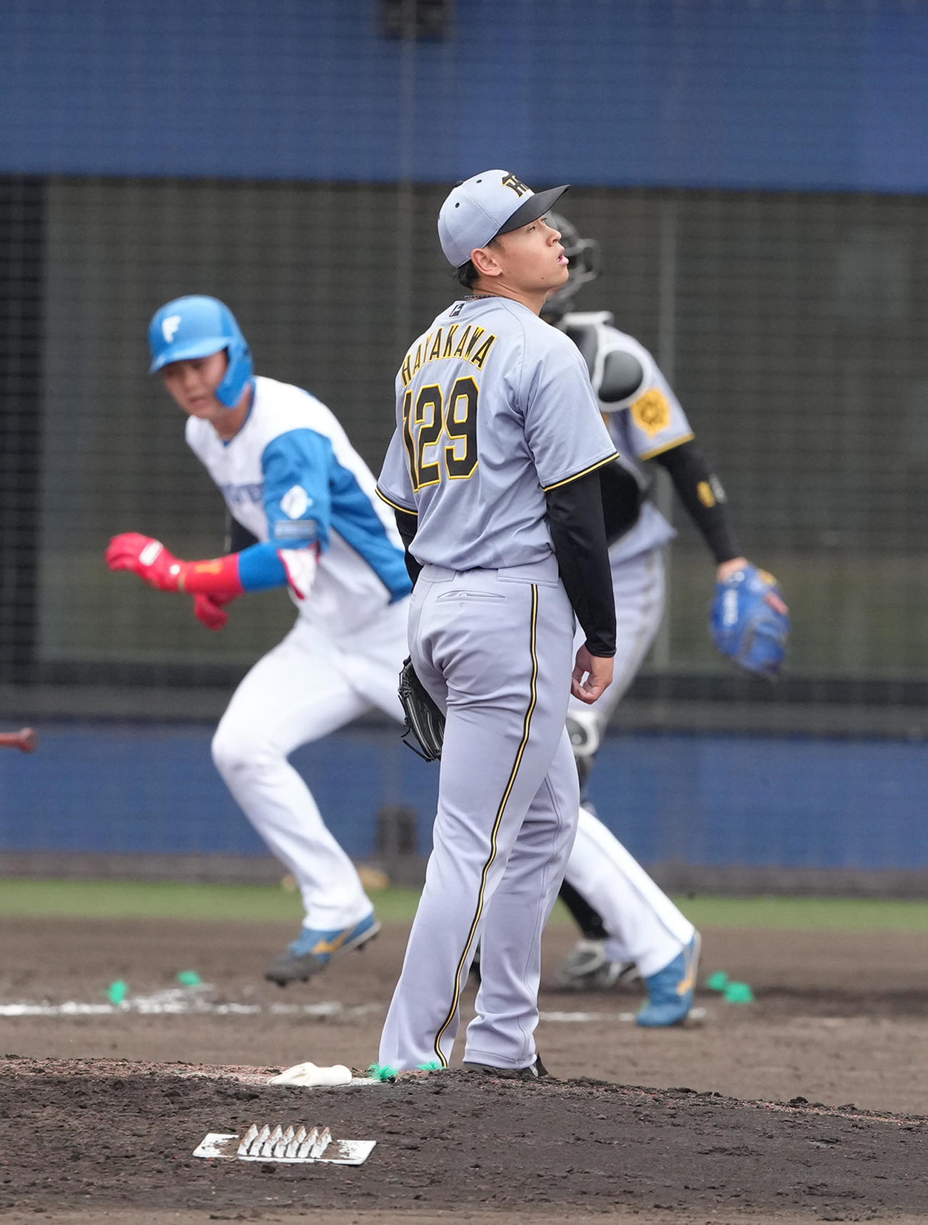 2軍練習試合　日本ハム対阪神　8回裏日本ハム無死、浜田を左飛に仕留める早川（撮影・足立雅史）