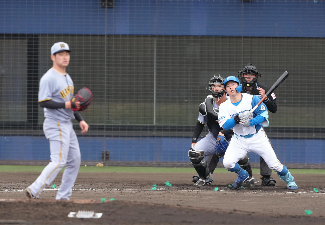 日本ハム対阪神　7回裏日本ハム2死、梅林は右前打を放つ。投手伊藤稜（撮影・足立雅史）