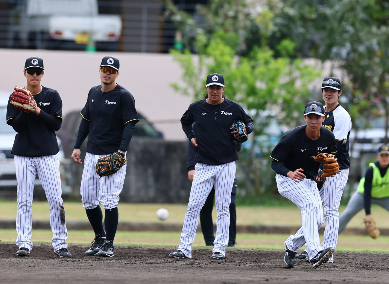 ノックを受ける左から小幡、佐藤輝、植田、山田、中野（撮影・藤尾明華）