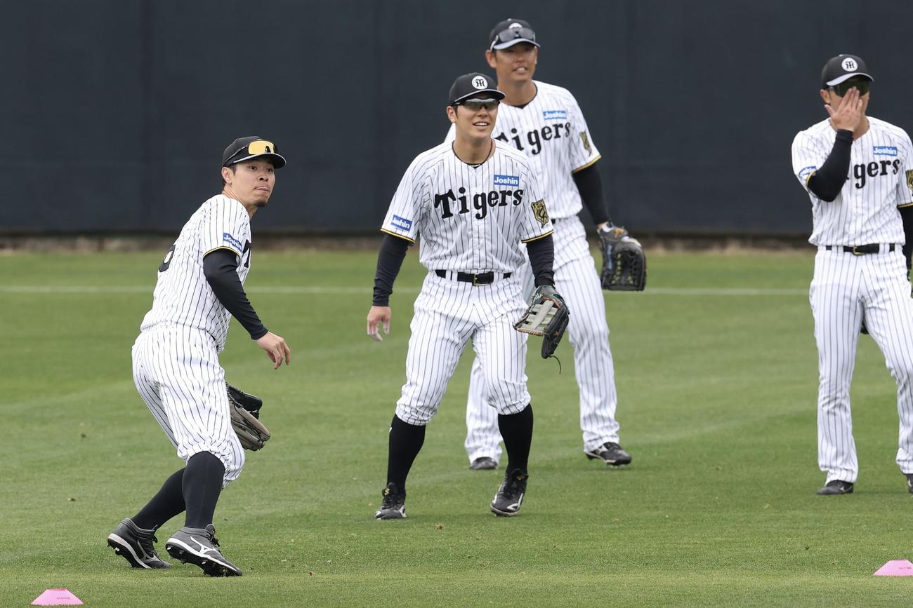 外野でノックを受ける、左から阪神佐藤輝、豊田、原口、島田（撮影・前田充）