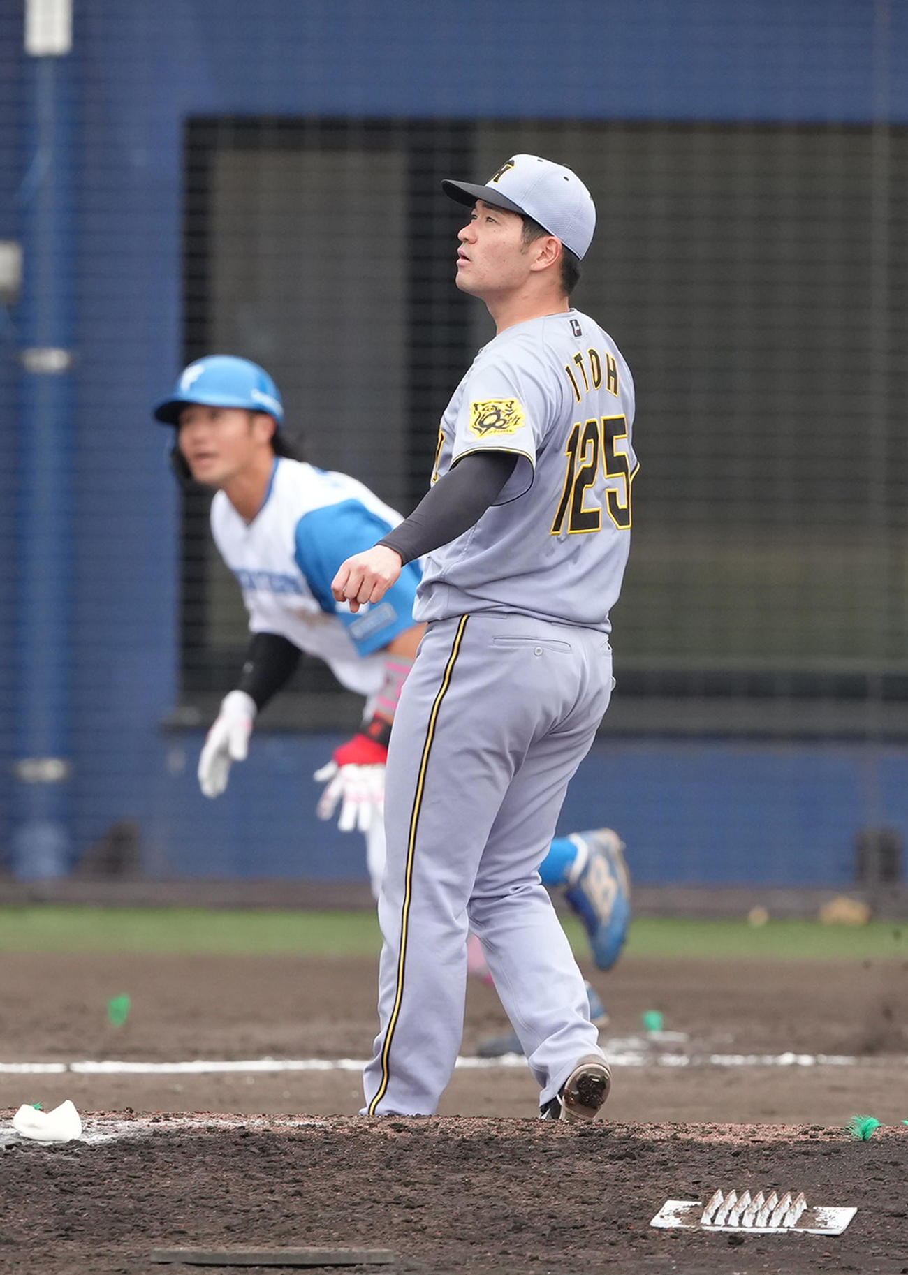 2軍練習試合　日本ハム対阪神　7回裏日本ハム無死、細川を右飛に仕留めた伊藤稜（撮影・足立雅史）