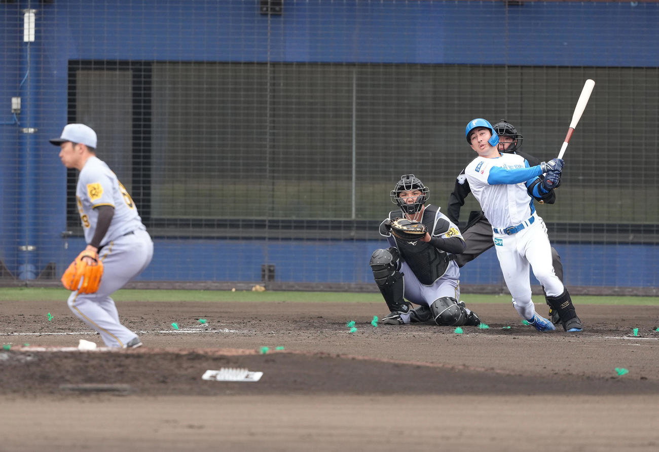 2軍練習試合　日本ハム対阪神　4回裏日本ハム1死、山口は中前打を放つ。投手石井（撮影・足立雅史）