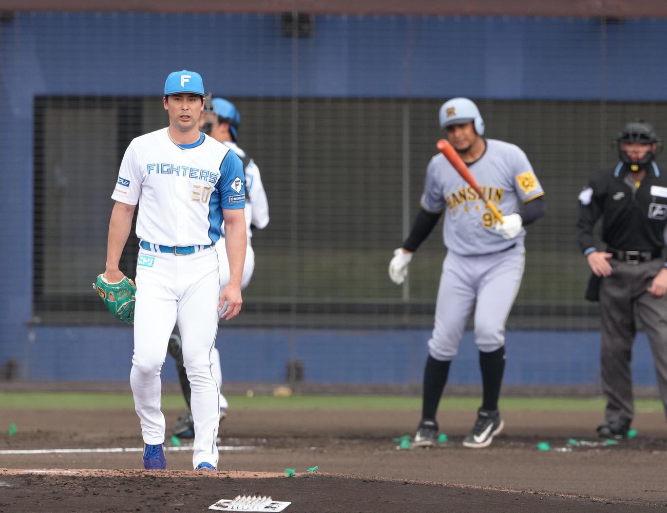 2軍練習試合　日本ハム対阪神　2回表阪神無死、ヘルナンデスを空振り三振に仕留めた上原（撮影・足立雅史）
