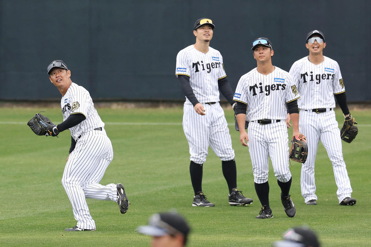 外野でノックを受ける、左から阪神原口、佐藤輝、井坪、島田（撮影・前田充）