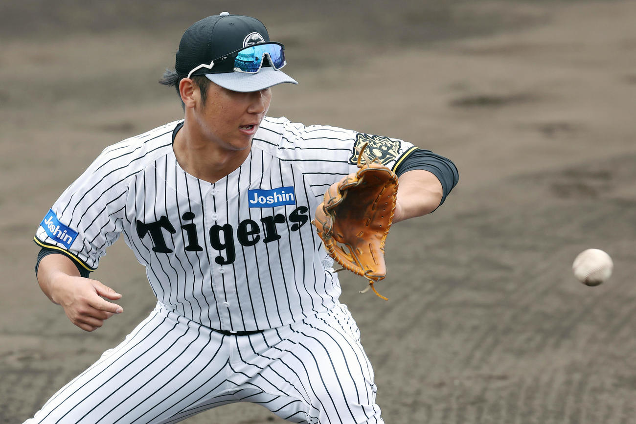 シャッフルノックで三塁に入った井坪（撮影・前田充）