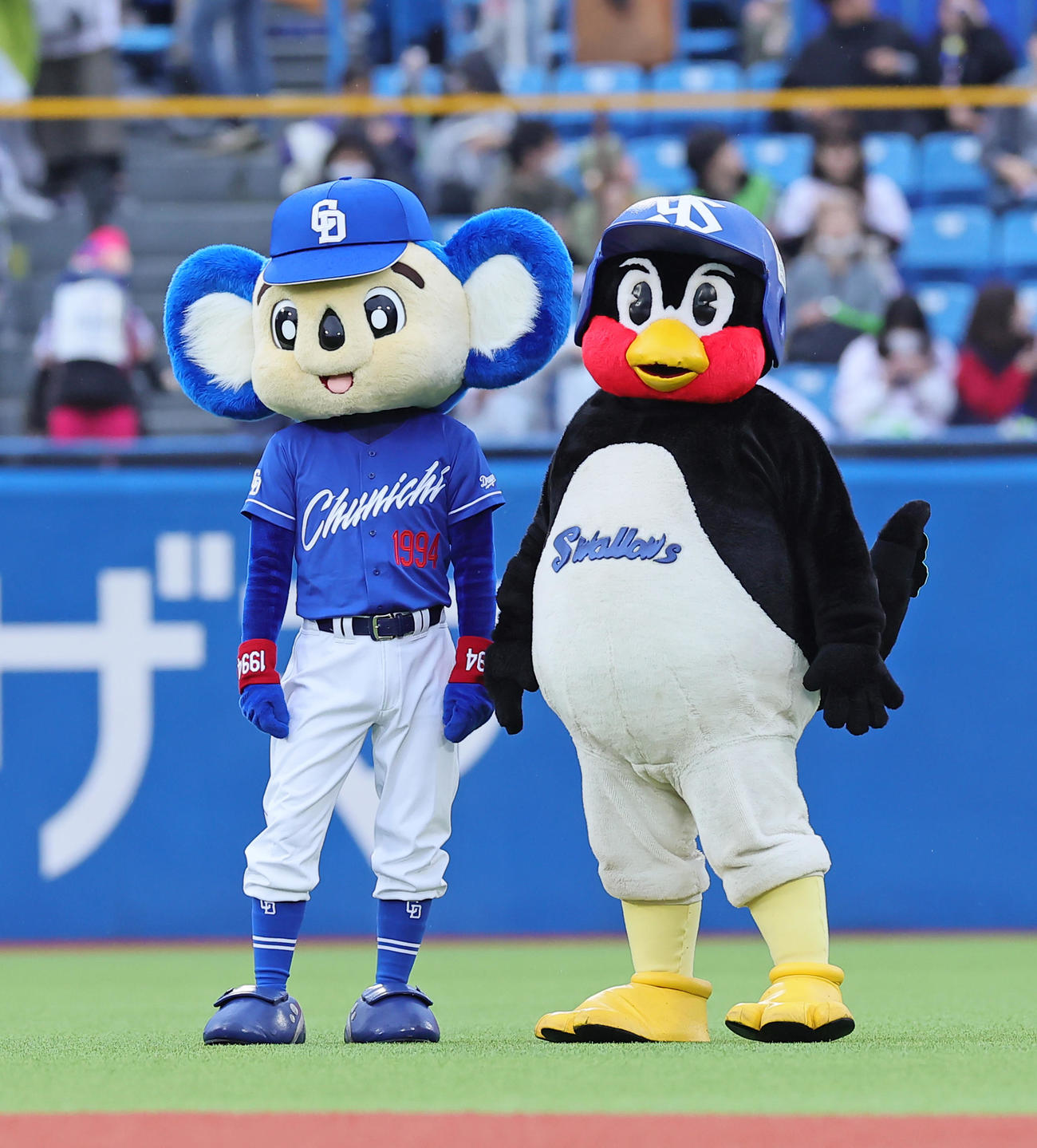 2023年5月　仲良く試合開始を待つつば九郎（右）とドアラ