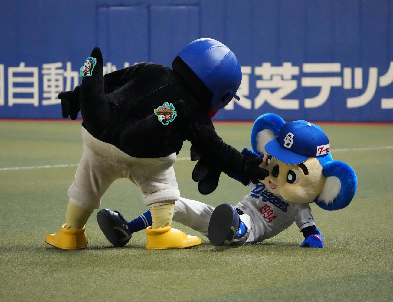 2024年5月　バク転タイムで着地失敗しつば九郎に助け起こされるドアラ