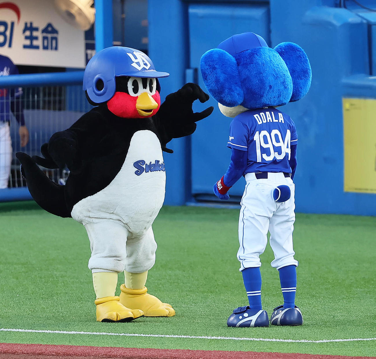 2023年8月　試合前、息の合ったダンスを見せるヤクルトのつば九郎（左）と中日のドアラ