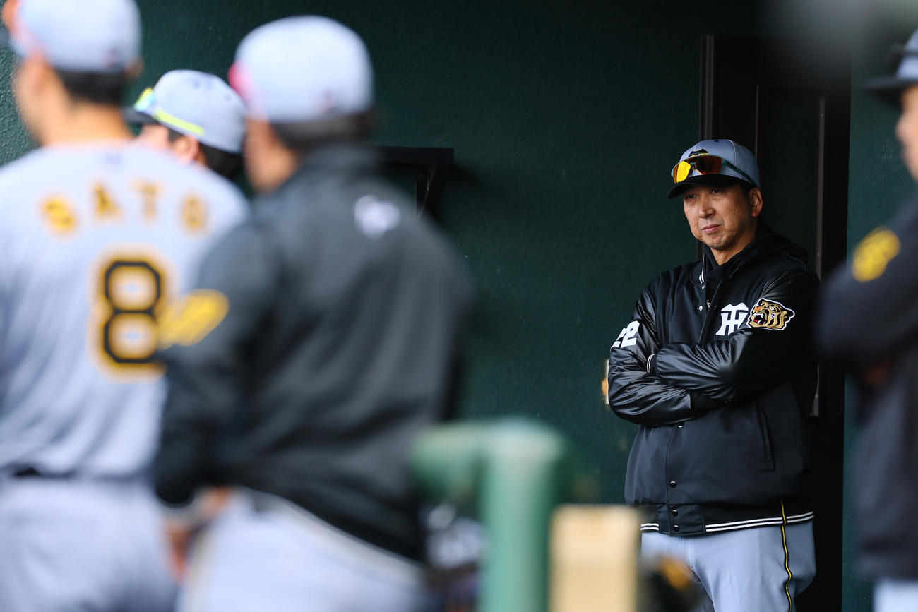 楽天対阪神　試合前の円陣を見つめる藤川監督（撮影・藤尾明華）