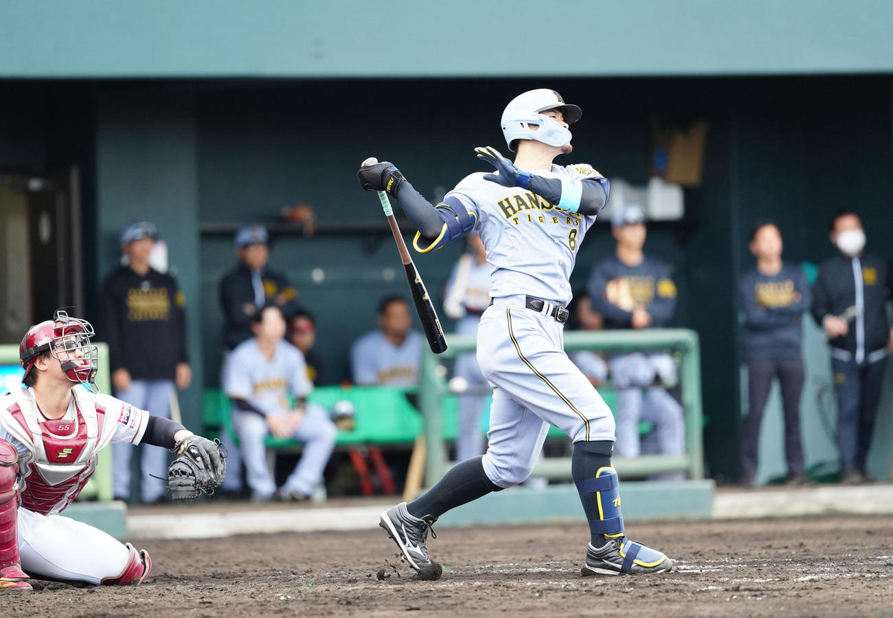 楽天対阪神　5回表阪神無死、ソロ本塁打を放つ佐藤輝（撮影・江口和貴）