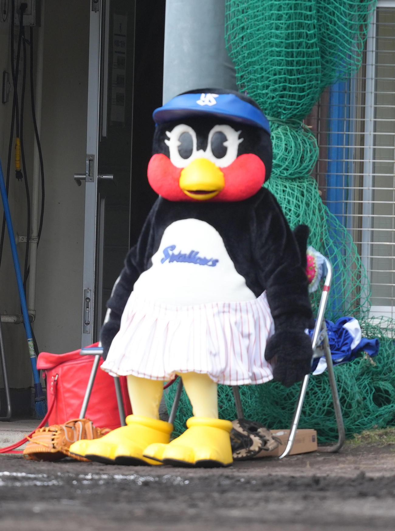 ヤクルト対日本ハム　椅子に座るつばみ（撮影・足立雅史）