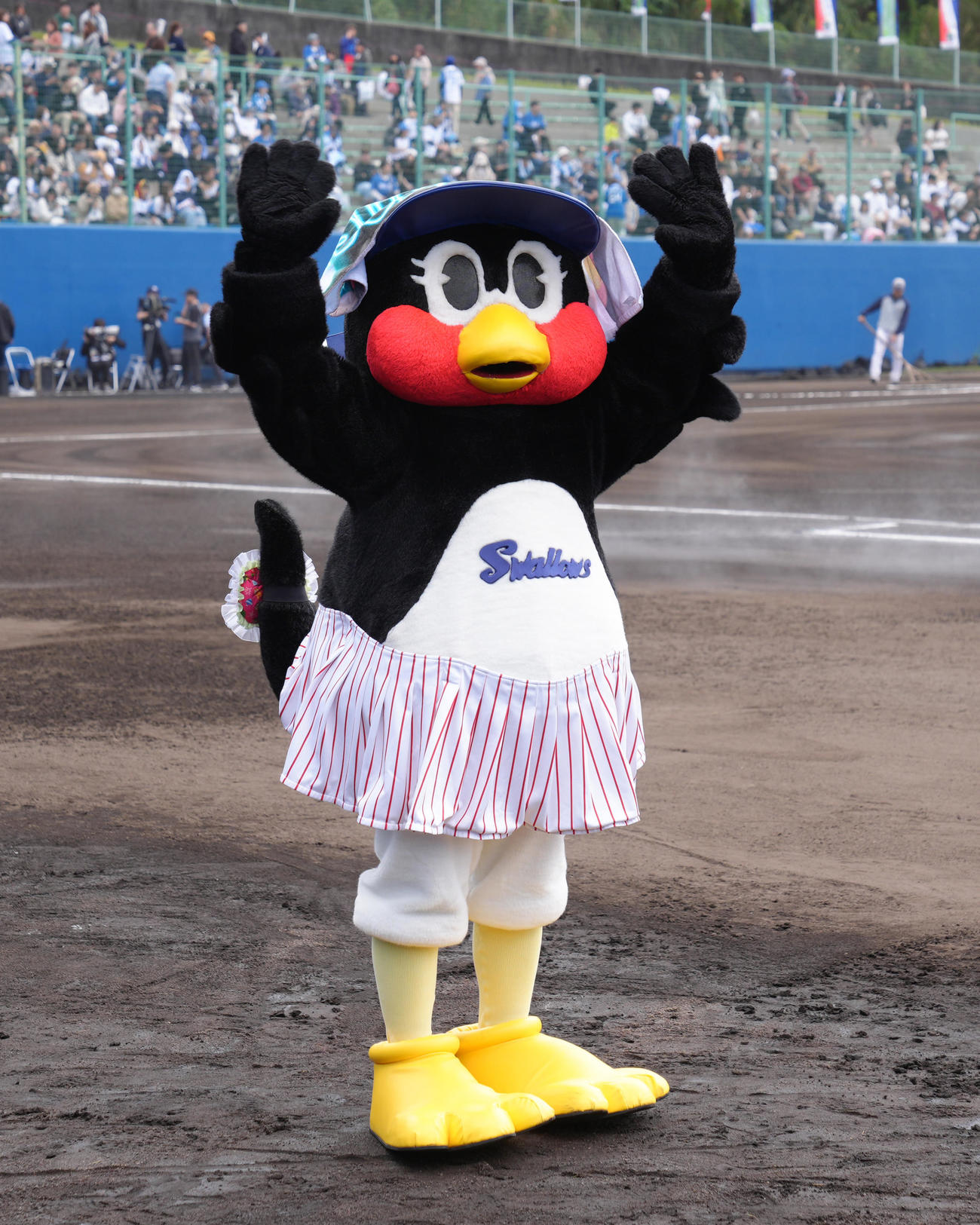 ヤクルト対日本ハム　スタンドを盛り上げるつばみ（撮影・足立雅史）
