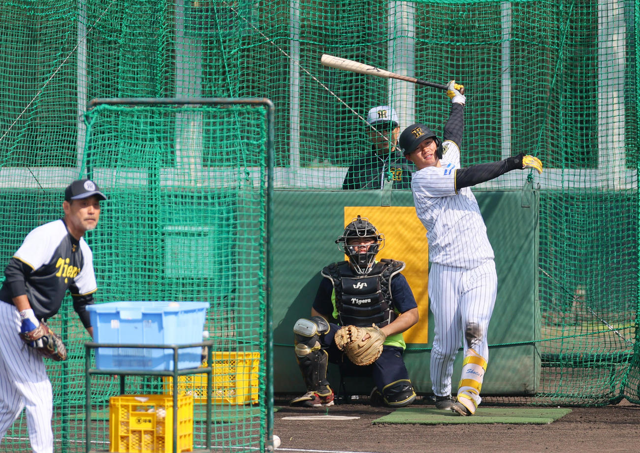 フリー打撃する阪神森下（撮影・上山淳一）