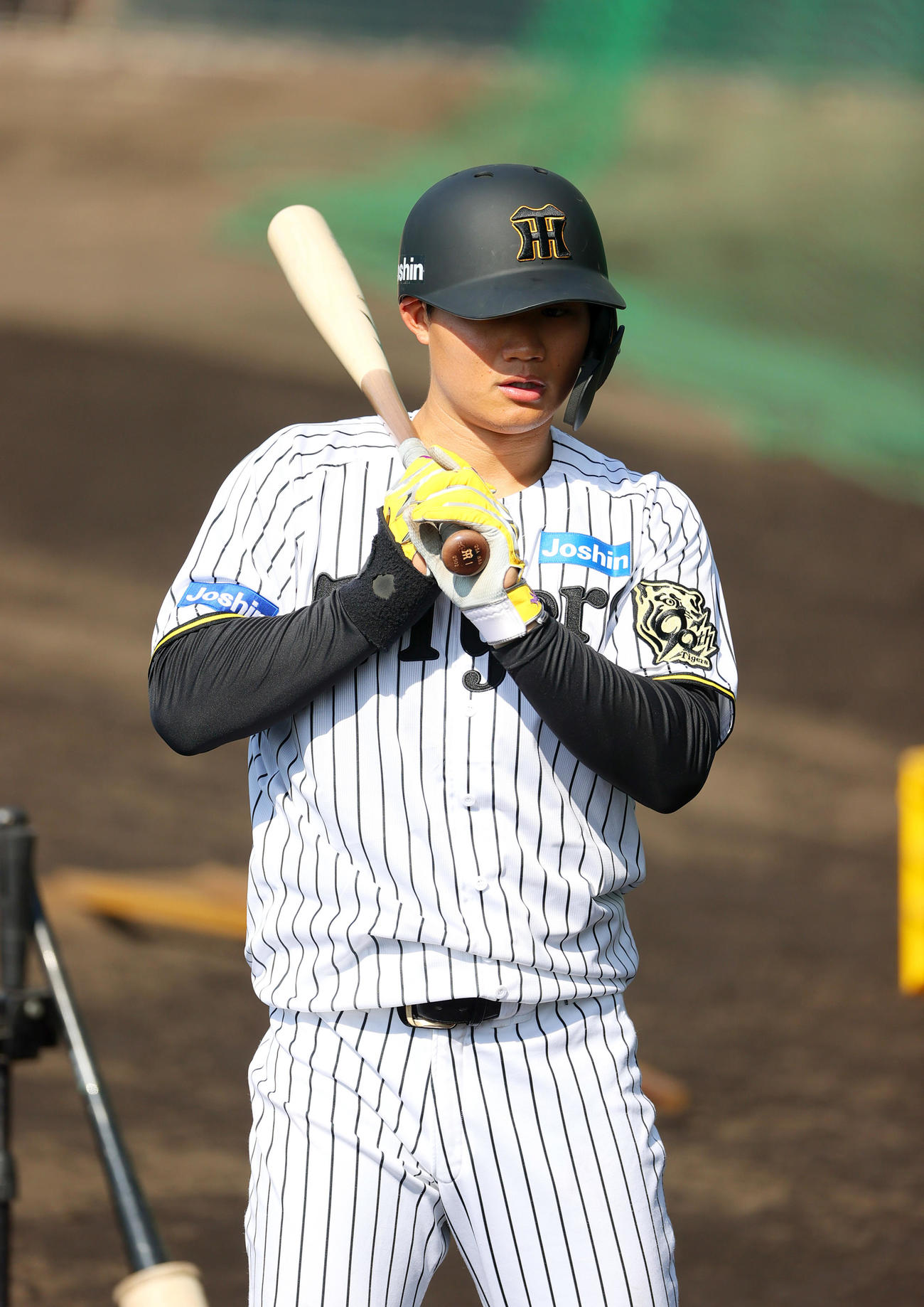 屋外で打撃練習を開始した阪神森下（撮影・上山淳一）