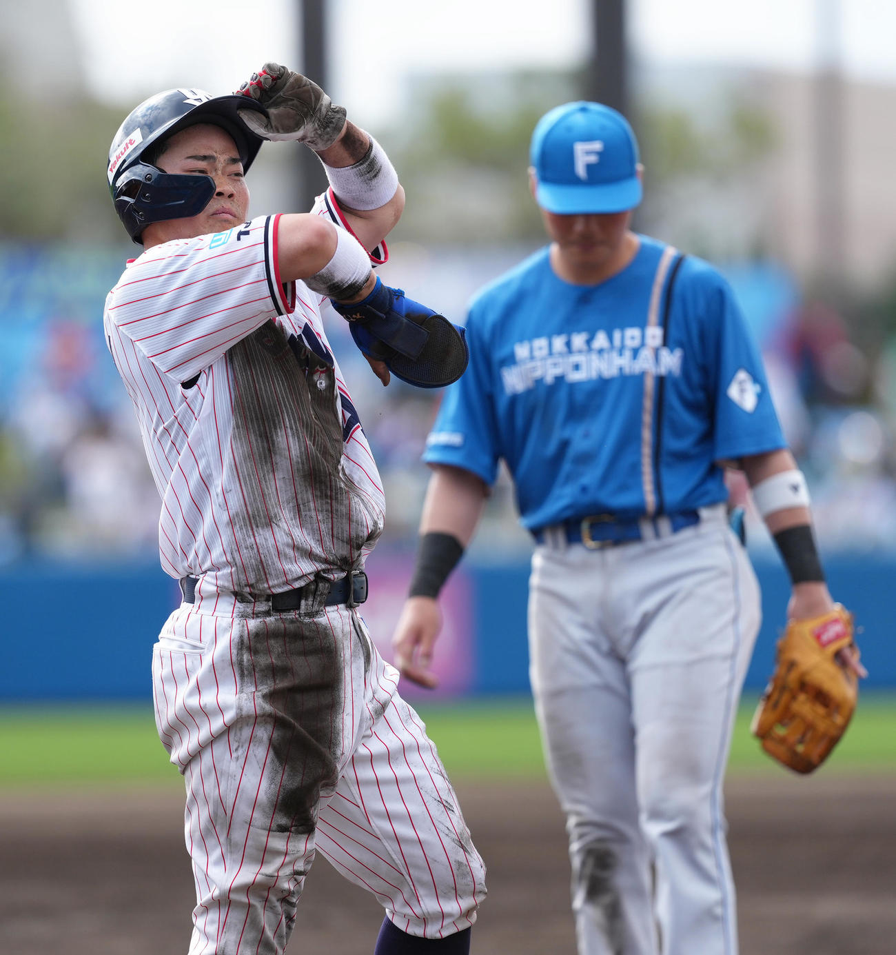 ヤクルト対日本ハム　7回裏ヤクルト1死一、二塁、三塁盗塁に成功した丸山和（左）。右は日本ハム清宮幸（撮影・足立雅史）