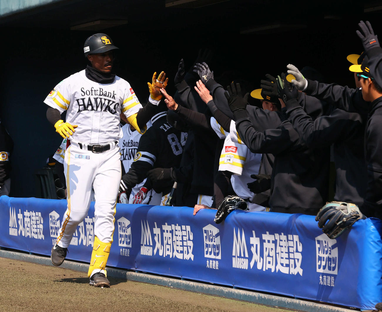 ソフトバンク対オリックス　1回裏ソフトバンク無死、ダウンズは本塁打を放ちベンチのナインとハイタッチ（撮影・梅根麻紀）