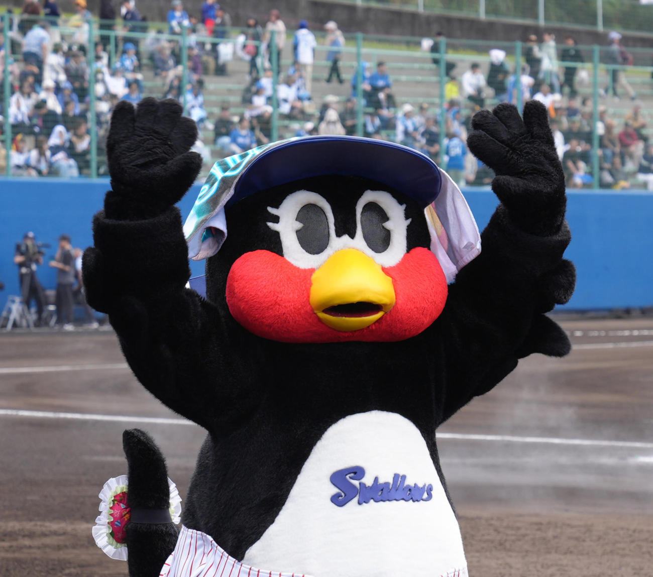 ヤクルト対日本ハム　スタンドを盛り上げるつばみ（撮影・足立雅史）