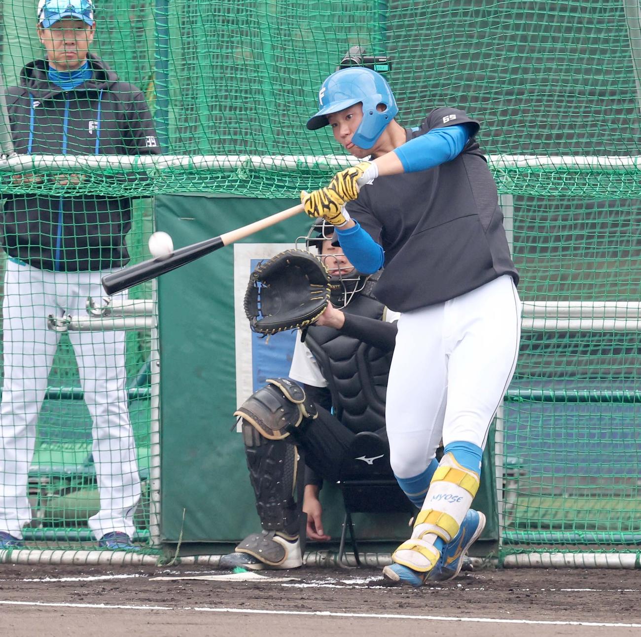 フリー打撃する日本ハム明瀬（撮影・黒川智章）