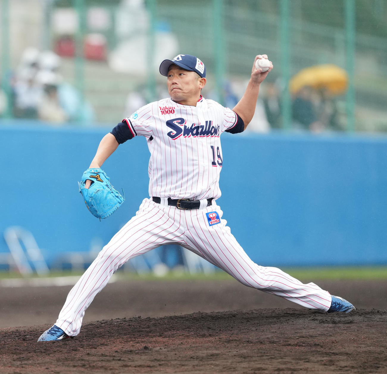 ヤクルト対DeNA　ヤクルト先発の石川（撮影・江口和貴）