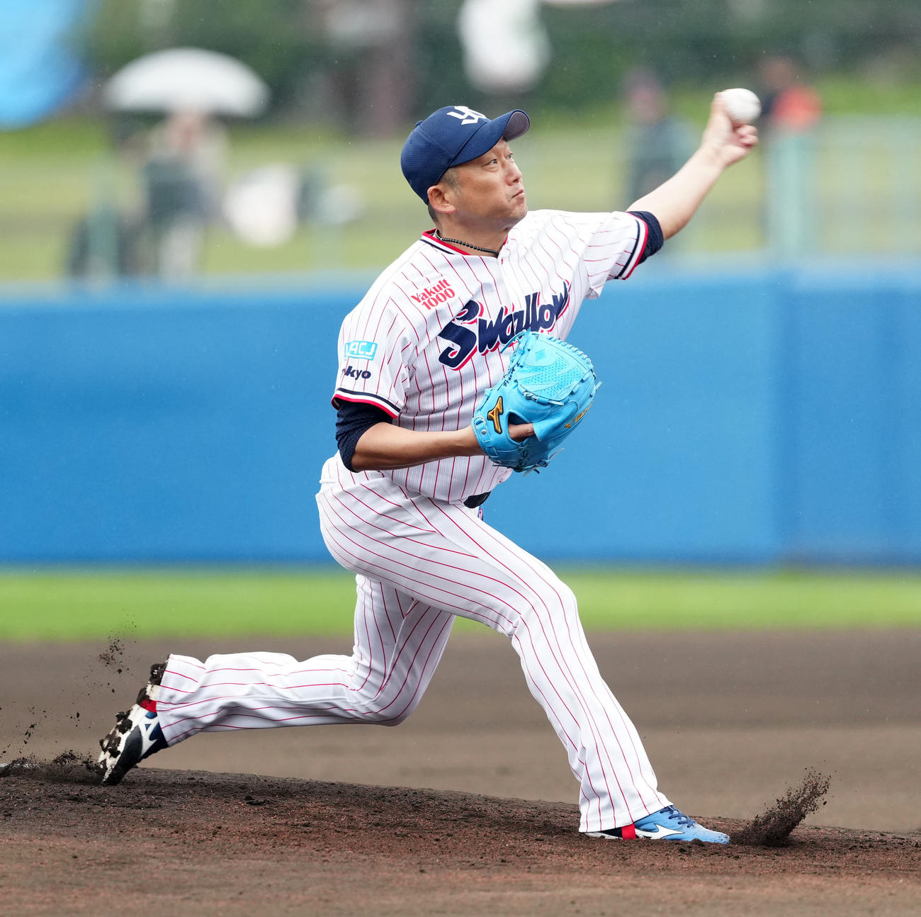 ヤクルト対DeNA　ヤクルト先発の石川（撮影・江口和貴）