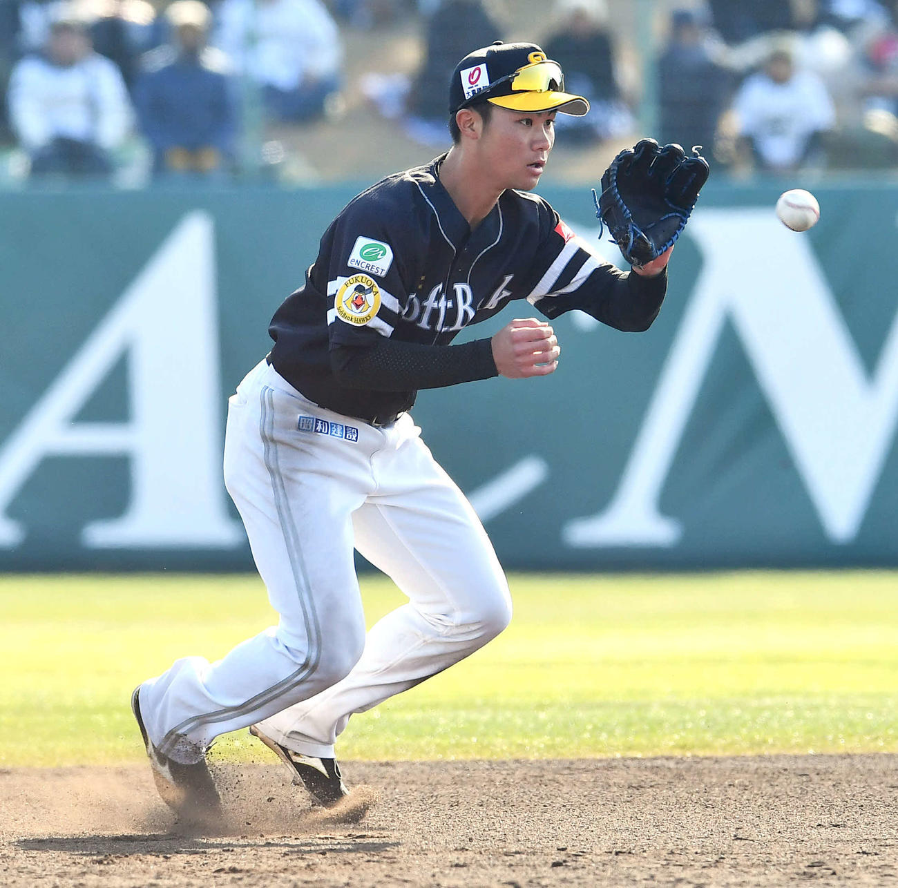 オリックス対ソフトバンク　6回裏オリックス1死二塁、大里の遊ゴロを処理する庄子（撮影・岩下翔太）