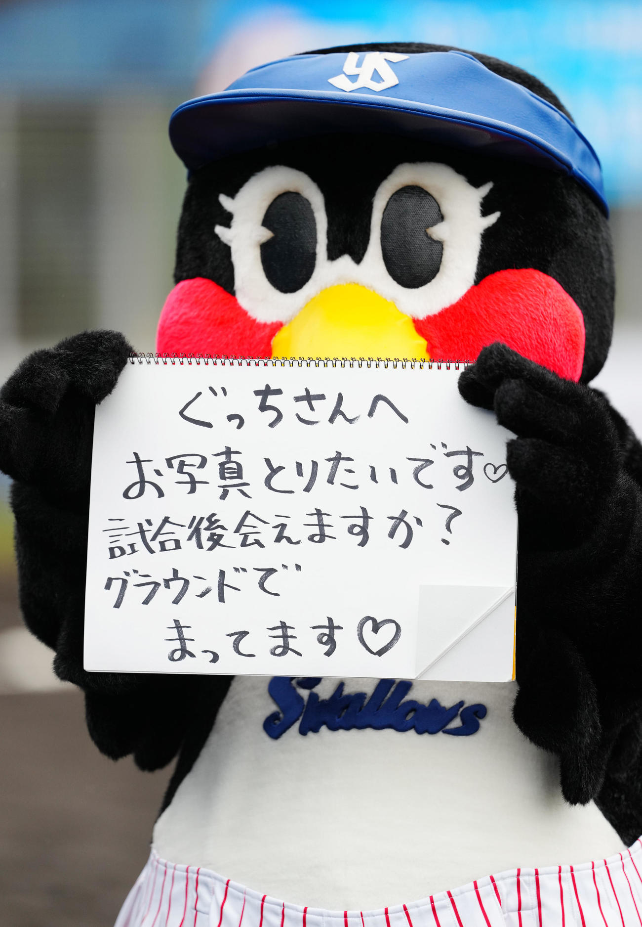 ヤクルト対DeNA 5回裏終了後、フリップ芸を披露するつばみ（撮影・江口和貴）