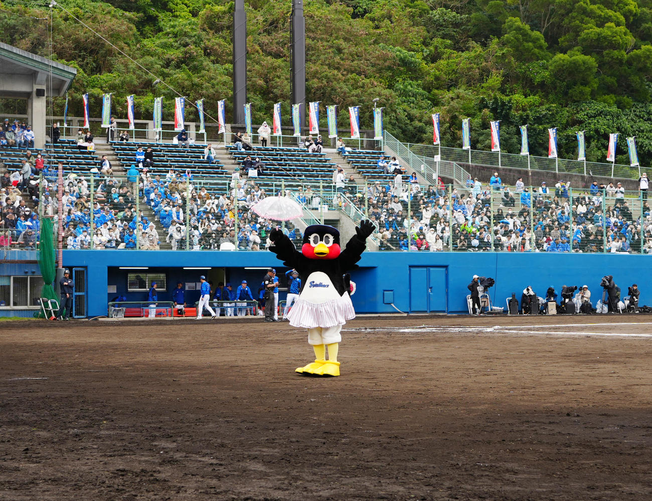 ヤクルト対DeNA 7回裏開始前の東京音頭で球場を盛り上げるつばみ（撮影・江口和貴）