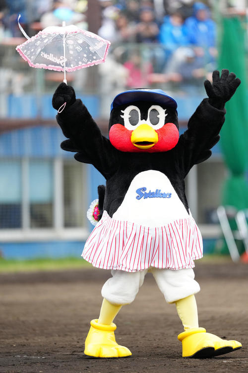 ヤクルト】つばみ、レジェンド捕手スルーし変わらぬ愛「ぐっちさーん