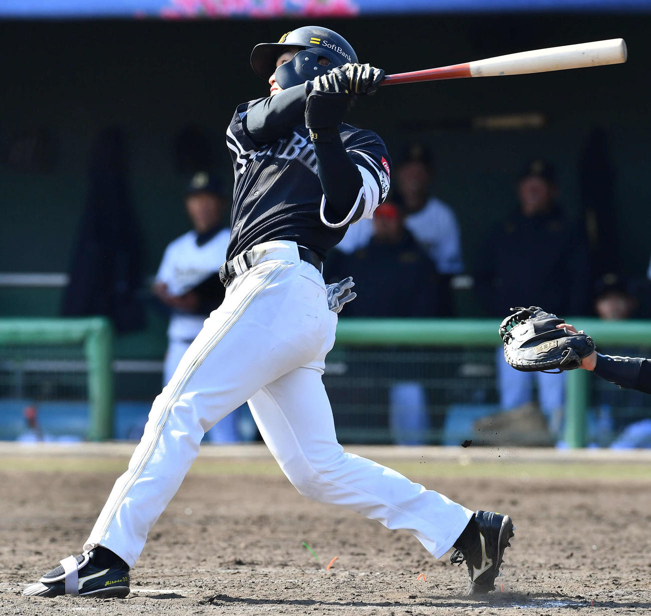 オリックス対ソフトバンク　5回表ソフトバンク無死、広瀬隆は右前安打を放つ（撮影・岩下翔太）
