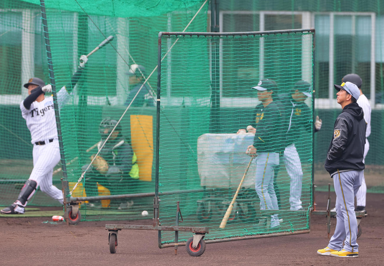 宜野座で阪神藤川監督（右）はフリー打撃練習を見守る（撮影・上山淳一）