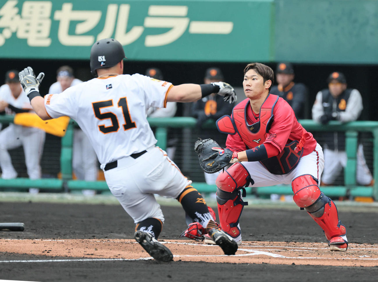 広島対巨人　2回裏巨人1死満塁、萩尾の三ゴロで浅野が本塁を狙うがアウト。捕手は坂倉将（撮影・加藤孝規）