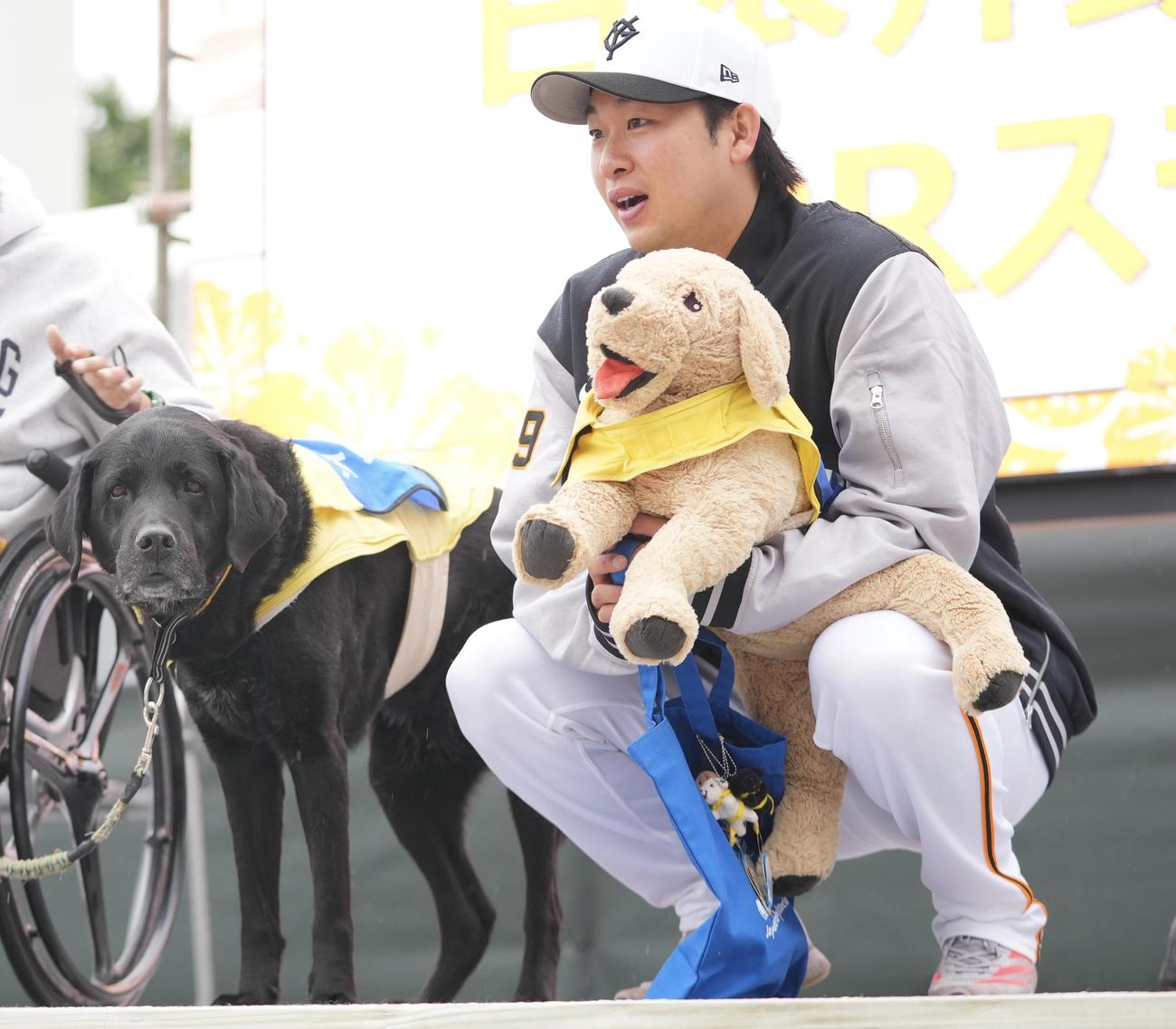 介助犬のイベントに参加する巨人山崎伊（撮影・垰建太）