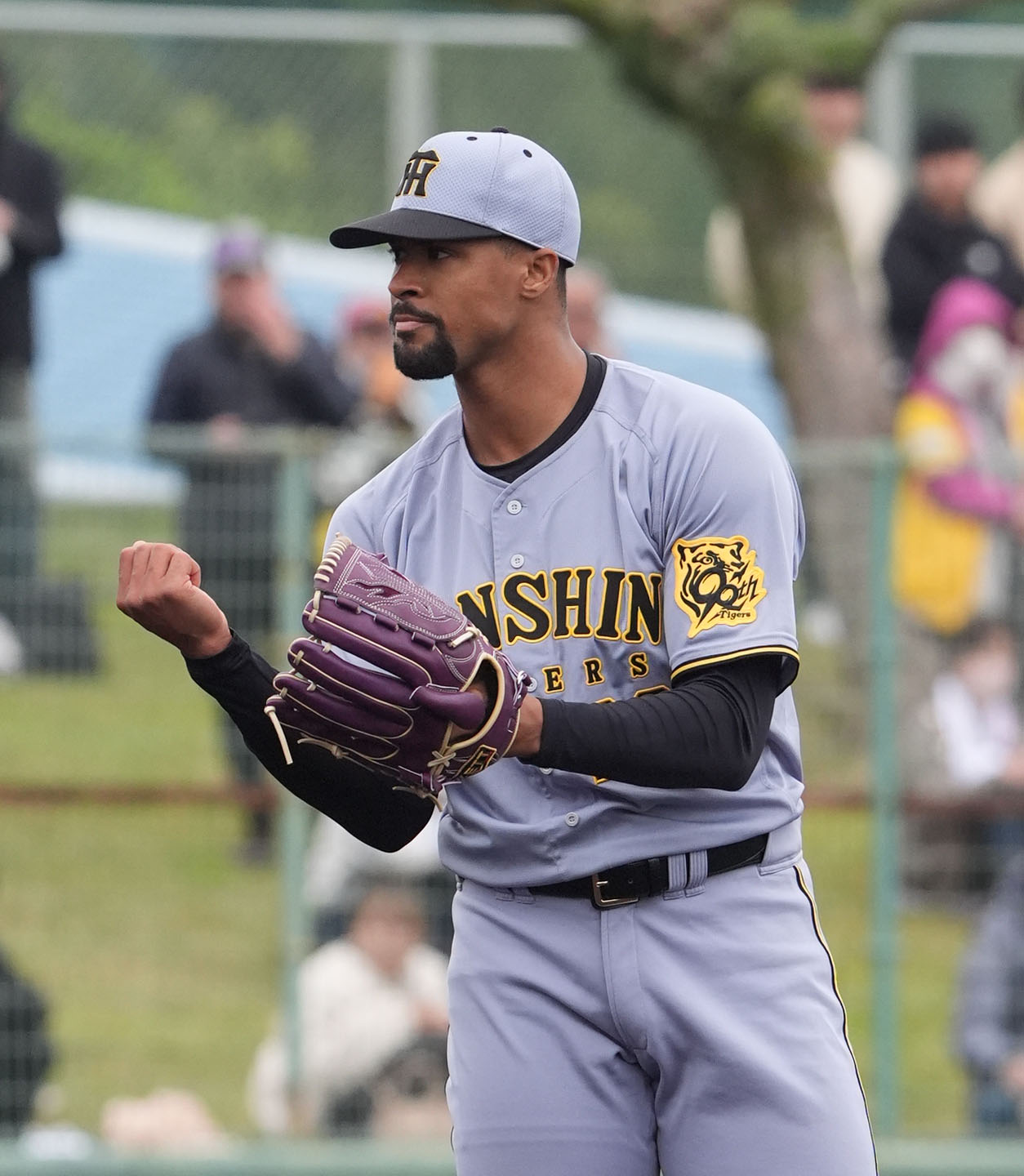 中日対阪神　5回裏、阪神3番手で登板するデュプランティエ（撮影・森本幸一）