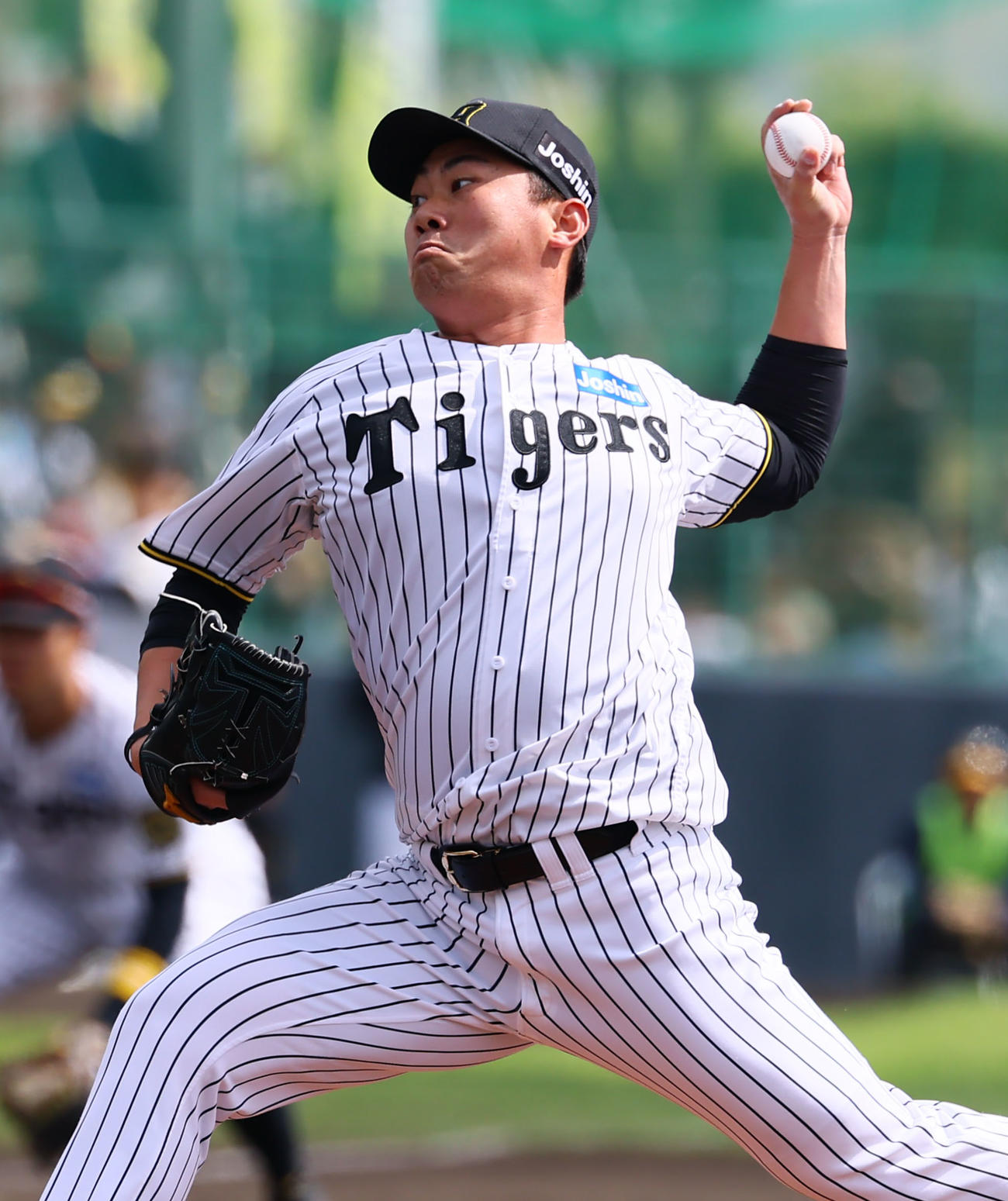 練習試合阪神対DeNA 4回、4番手で登板した阪神桐敷（撮影・藤尾明華）