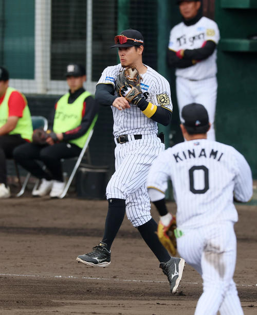 阪神対DeNA 4回表DeNA1死一塁、佐藤輝は山本の打球を二塁へ送球し併殺を奪う（撮影・加藤哉）